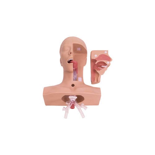 Maniquí de prácticas para cuidados de urgencias - LM-097 - KOKEN  - de traqueotomía / para la aspiración de las vías aéreas / de nutrición