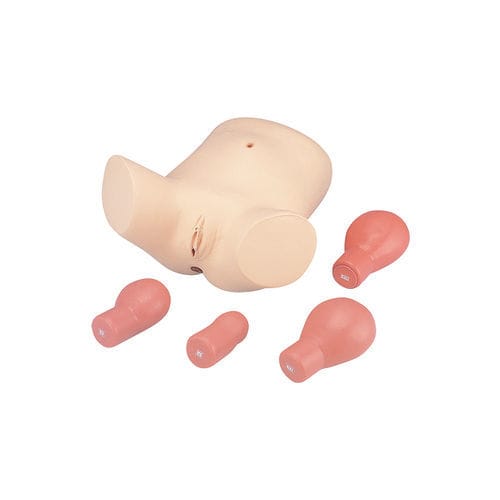 Maniquí de prácticas para cuidados ginecológicos - LM-055 - KOKEN  - de palpación / de pelvis