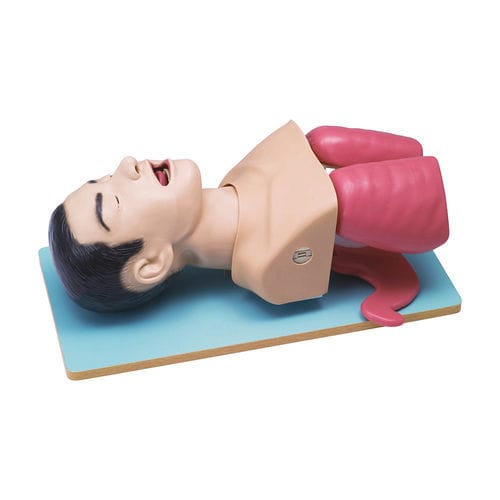 Maniquí de prácticas para atención general - LM-059 - KOKEN  - para la gestión de las vías respiratorias / de intubación / de parte superior del cuerpo