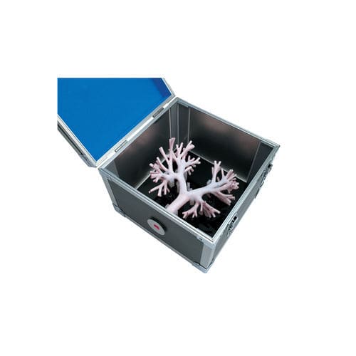 Modelo anatómico de pulmón - LM-092 - KOKEN 