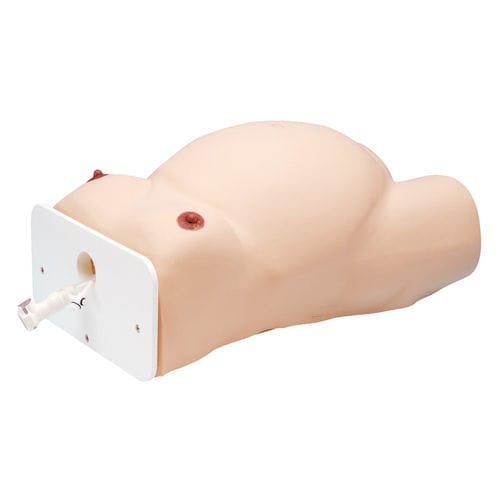 Maniquí de prácticas para cuidados ginecológicos - LM-080 - KOKEN  - de embarazo / de mujer / de torso