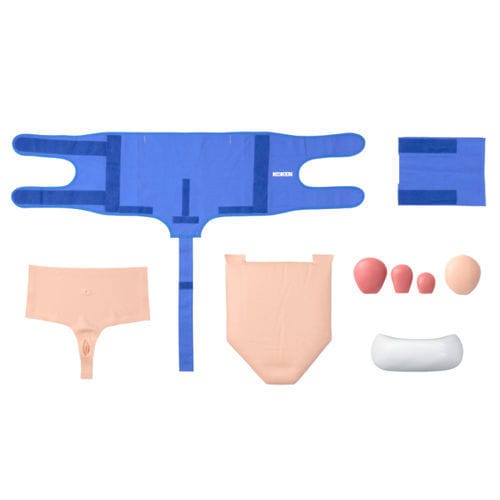 Modelo anatómico uterino - LM-116 - KOKEN  - para cuidados ginecológicos / de formación / palpación del útero postparto