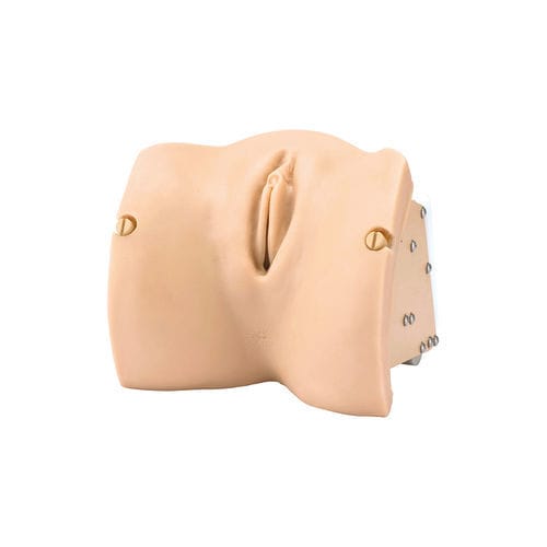 Maniquí de prácticas obstetricoginecológico - LM-101F - KOKEN  - de reconocimiento pélvico / de embarazo / de mujer