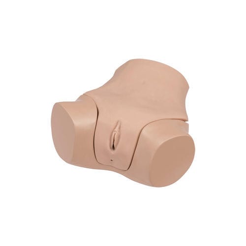 Simulador de formación - LM-110 - KOKEN  - de palpación rectal / ginecológico / de mujer
