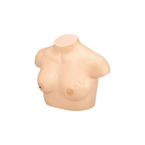 Maniquí de prácticas para cuidados ginecológicos - LM-018 - KOKEN  - de palpación / de mujer / de mama