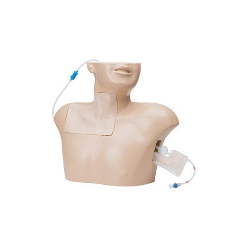 Maniquí de prácticas para cuidados de enfermería - LM-090 - KOKEN  - de cirugía / de cateterismo venoso central / de punción