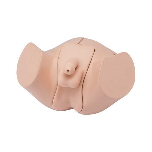 Simulador de cateterismo - LM-109M - KOKEN  - para lavado intestinal / para atención general / adulto