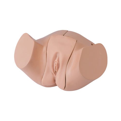 Simulador de cateterismo - LM-109F - KOKEN  - de anatomía / femenino / adulto