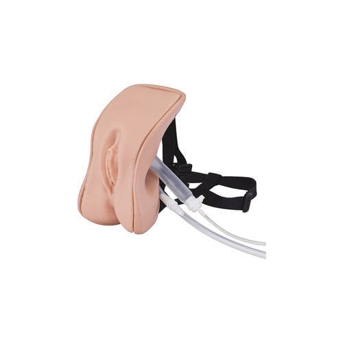 Simulador de cateterismo - LM-109FA - KOKEN  - para lavado intestinal / para cuidados ginecológicos / femenino