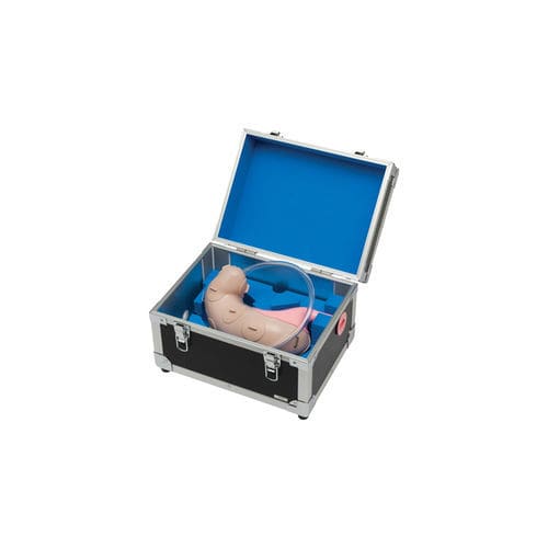 Modelo anatómico de estómago - LM-083 - KOKEN  - de esófago / de epigastrio / cuerpo