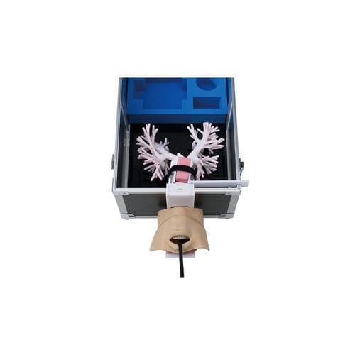 Simulador de formación - LM-099 - KOKEN  - de punción / para ecografía / de broncoscopia
