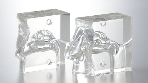 Modelo anatómico de seno - LM-005 - KOKEN  - nasal / de formación / transparente