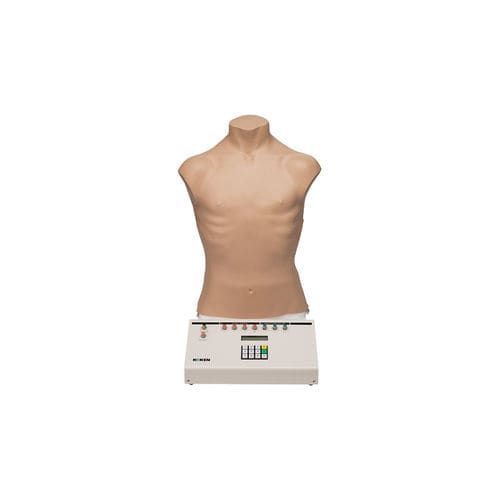 Simulador de formación - LM-084 - KOKEN  - de palpación / de auscultación / de respiración
