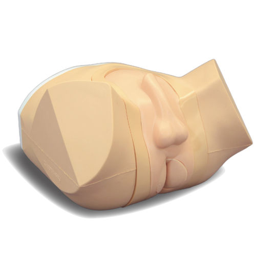 Simulador de palpación de la próstata - MW20 - Kyoto Kagaku  - de palpación rectal / para cuidados urológicos / de tumor
