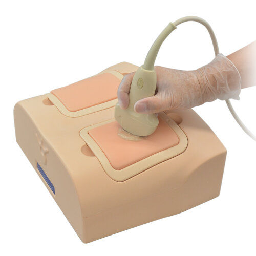 Maniquí de prácticas para atención general - US-19 - Kyoto Kagaku  - para cuidados intensivos / para ecografía / de parte superior del cuerpo