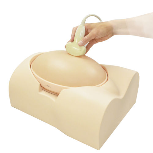 Maniquí de prácticas para cuidados obstétricos - US-7a - Kyoto Kagaku  - obstetricoginecológico / para ecografía / de embarazo