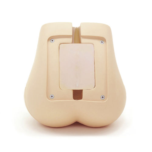 Maniquí de prácticas para cirugía mínimamente invasiva - PH-51 - Kyoto Kagaku  - para neurocirugía del raquis / de formación / para radiología