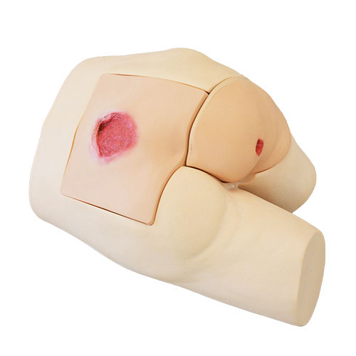 Simulador de paciente de úlceras por presión - MW63 - Kyoto Kagaku  - para ecografía / para cuidados de enfermería / para cuidados gerontológicos