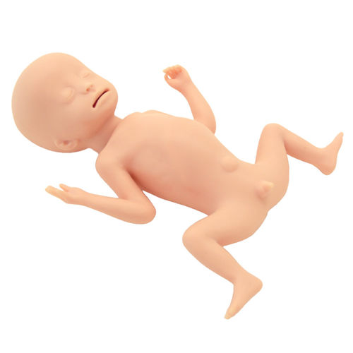 Simulador de paciente para la gestión de las vías respiratorias - ELBW - Kyoto Kagaku  - para RCP / de nutrición / para atención pediátrica