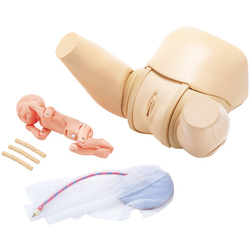 Simulador de formación - MW36 - Kyoto Kagaku  - de parto / obstetricoginecológico / de mujer