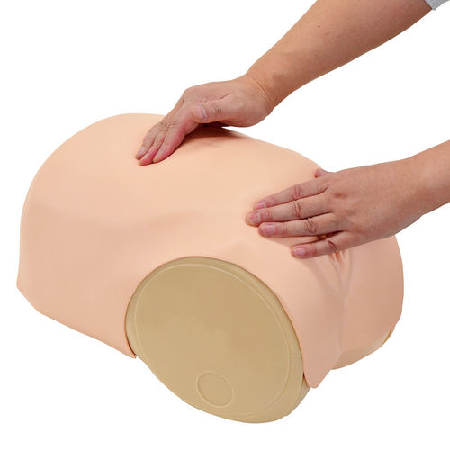 Simulador de paciente de palpación - MW38 - Kyoto Kagaku  - obstetricoginecológico / femenino / de pelvis