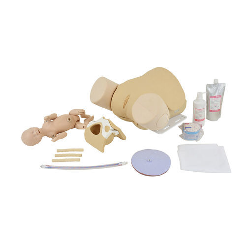 Simulador de formación - MW65 - Kyoto Kagaku  - de palpación / de parto / obstetricoginecológico