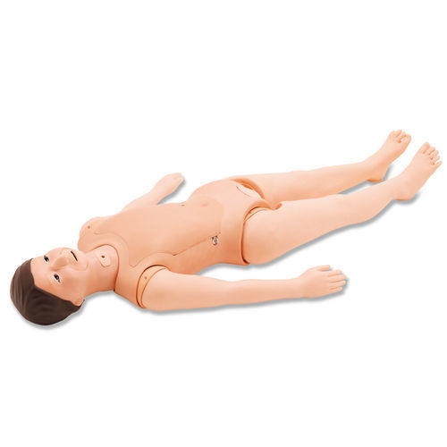 Simulador de formación - M56A/B - Kyoto Kagaku  - de cateterismo / para traqueotomía / de nutrición