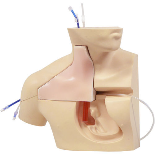 Simulador de cateterismo venoso central - M93C - Kyoto Kagaku  - de formación / de palpación / para atención general