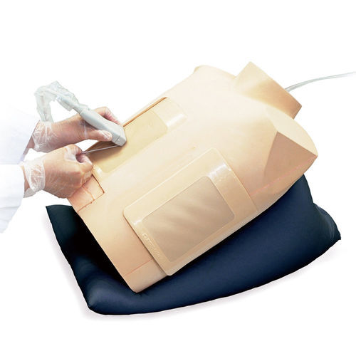 Simulador de formación - MW15 - Kyoto Kagaku  - de pericardiocentesis / de palpación / para atención general