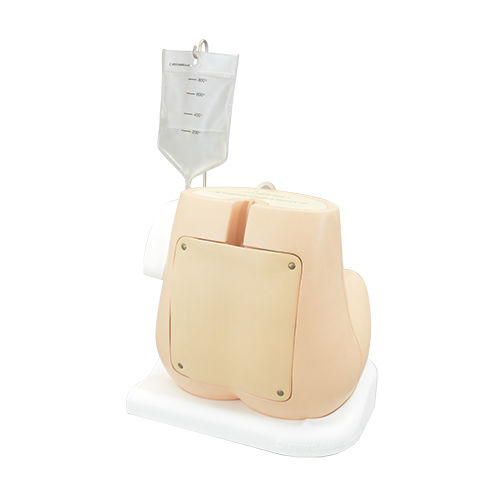 Simulador de formación - M43B-B - Kyoto Kagaku  - de punción lumbar / de palpación / de anestesia epidural