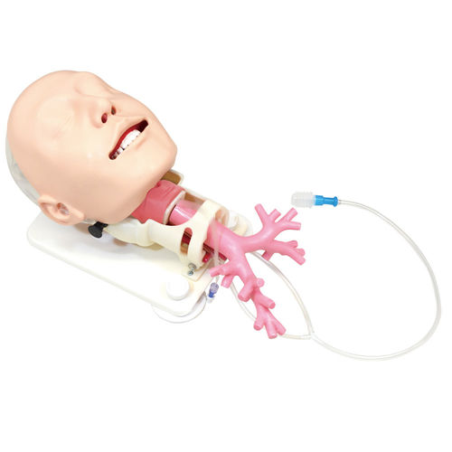 Simulador de gestión de las vías respiratorias - MW19 - Kyoto Kagaku  - de formación / para atención general / de cabeza