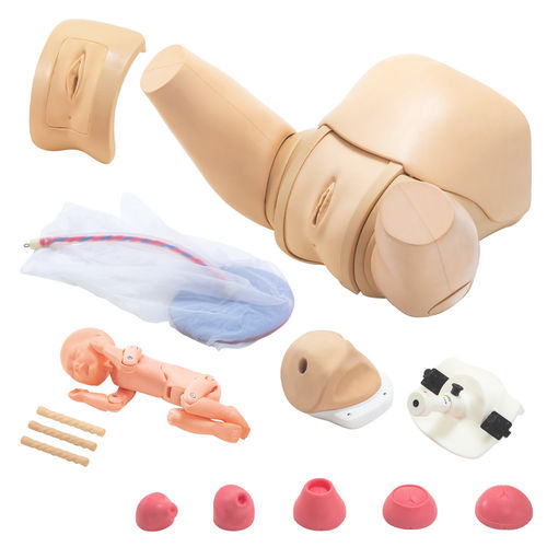 Simulador de paciente de parto - MW40 - Kyoto Kagaku  - obstetricoginecológico / de mujer / de pelvis