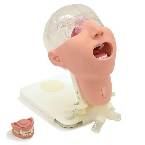 Simulador de paciente para cuidados dentales - MW29 - Kyoto Kagaku  - de cabeza