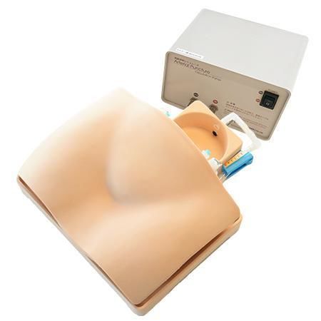 Modelo vascular de arteria femoral - MW82 - Kyoto Kagaku  - vena femoral / miembros inferiores / de pierna