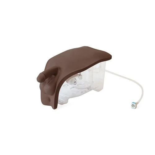 Simulador de cateterismo - 60855 - Limbs & Things - para cateterismo masculino / de anatomía / para atención general