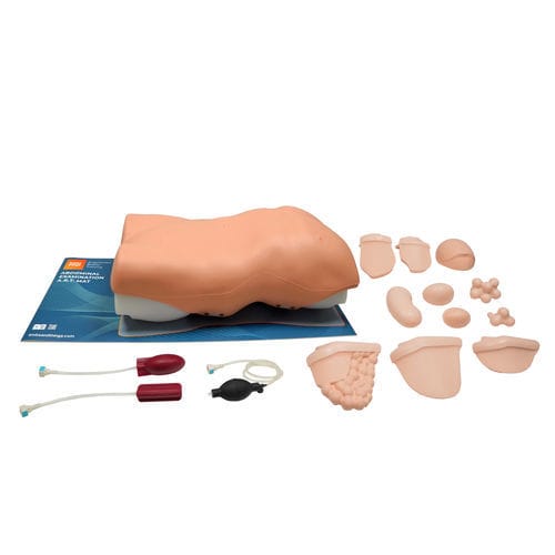 Simulador de auscultación - 60000 - Limbs & Things - de palpación / de heridas abdominales / de anatomía