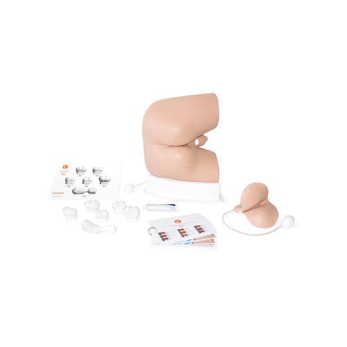 Simulador de palpación rectal - 60171 - Limbs & Things - de formación / para atención general / masculino