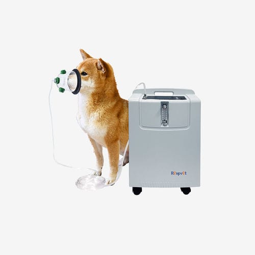 Concentrador de oxígeno veterinario - NW-5KW - Longfian Scitech Co., Ltd - con ruedas / PSA / multifuncional