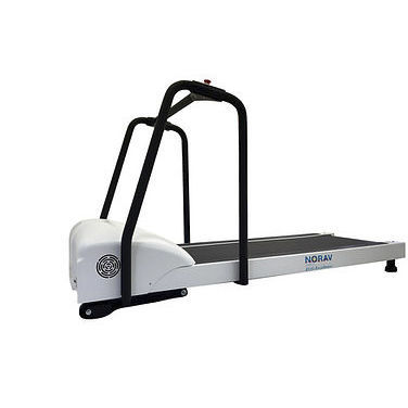 Cinta de correr ergométrica con baranda - TM8 - NORAV Medical - para adulto