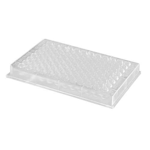 Microplaca de laboratorio - riplate® 96 - Ritter Medical - de fluorescencia / para almacenamiento de muestras / de 96 orificios