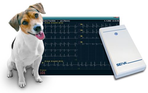 Sistema de ECG veterinario 12 canales - Seiva