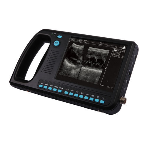 Ecógrafo de mano - WED-3000 - Shenzhen Well.D Medical Electronics - para ecografía polivalente / blanco y negro / convexo