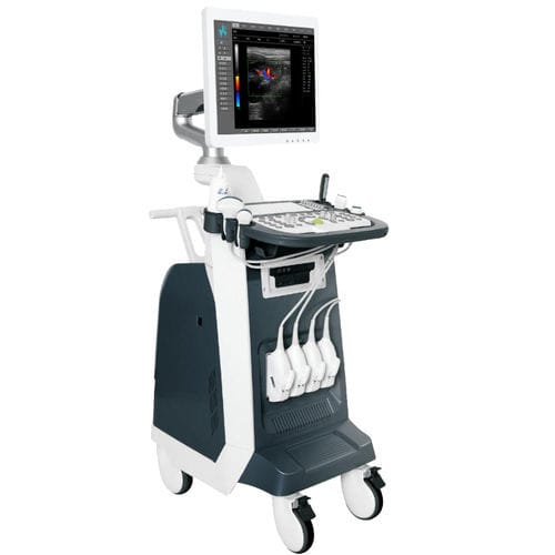 Ecógrafo con soporte - FDC8100V - Shenzhen Well.D Medical Electronics - para ecografía polivalente / doppler-color / elastografía