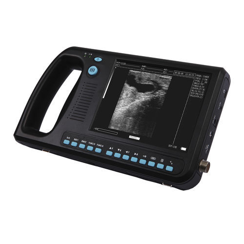 Ecógrafo veterinario de mano - WED-3000V - Shenzhen Well.D Medical Electronics - multifuncional / para équidos / para porcinos