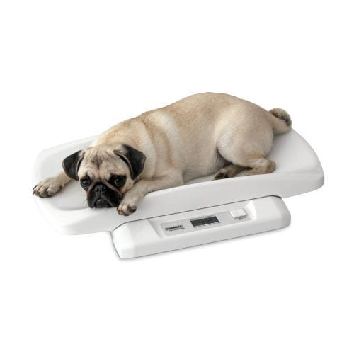 Balanza veterinaria electrónica - 8352 - Soehnle Industrial Solutions - para animales pequeños / de mesa / con pantalla LCD