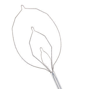 Cesta endoscopica para la extracción de pólipos intestinales - LARIAT™ - STERIS - recta