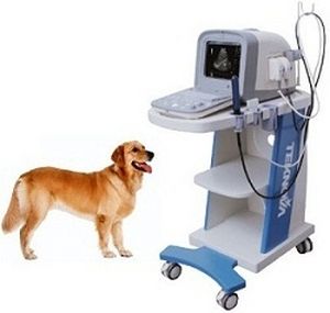 Ecógrafo veterinario con soporte - TH-100Vet - Teknova Medical Systems - multifuncional