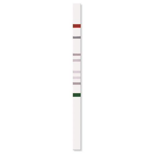 Tira de prueba de enfermedades genéticas - PGX-TPMT StripAssay® - ViennaLab Diagnostics  - de TPMT / de genes / de plomo