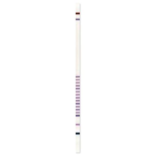Tira de prueba de fibrosis quística - CF StripAssay® - ViennaLab Diagnostics  - para mutaciones genéticas / clínica / molecular