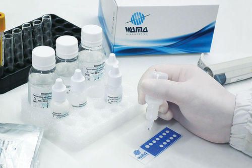 Reactivo en solución - Wama Diagnostica - clínico / de ANA-HEp-2 / de Toxoplasma gondii